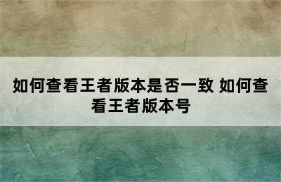 如何查看王者版本是否一致 如何查看王者版本号